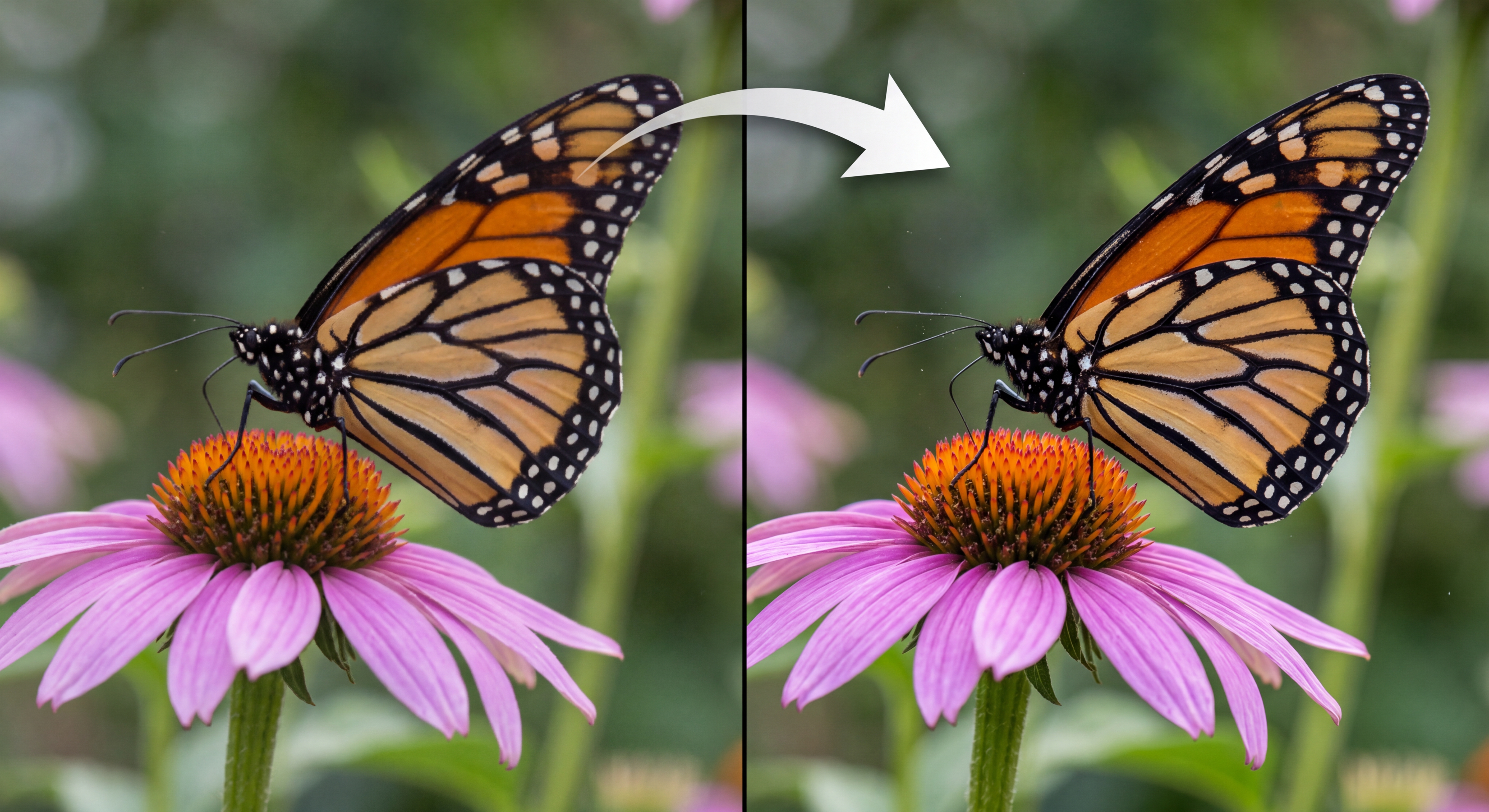 Low-resolution illustration upscaled to a crisp photo